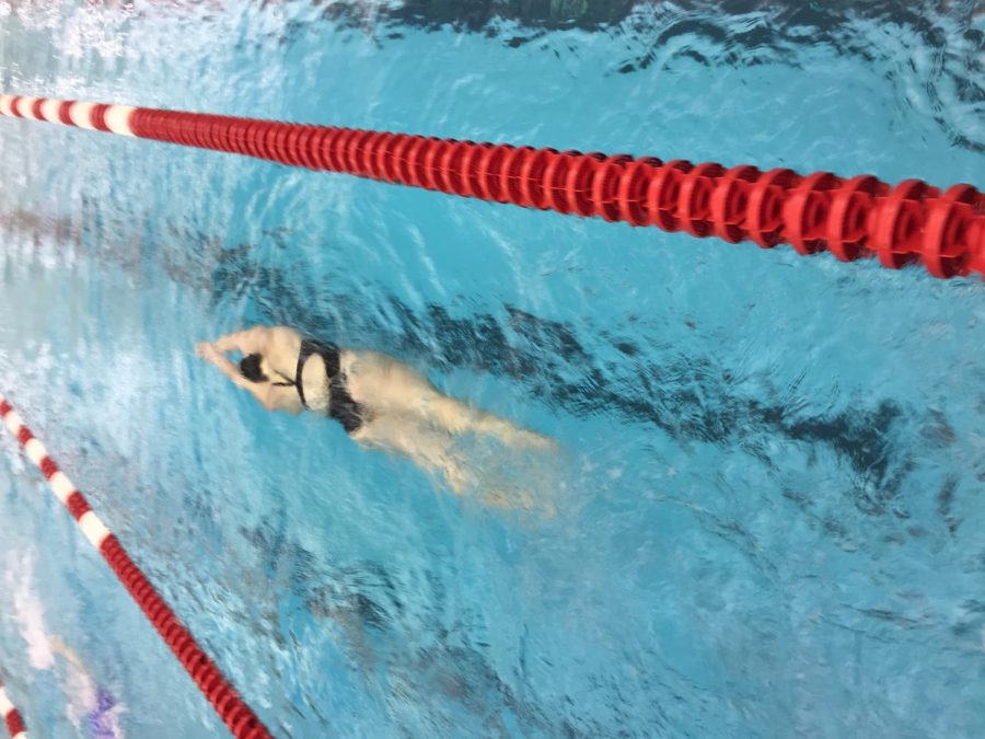 A MV swimmer in the pool, swimming backstroke