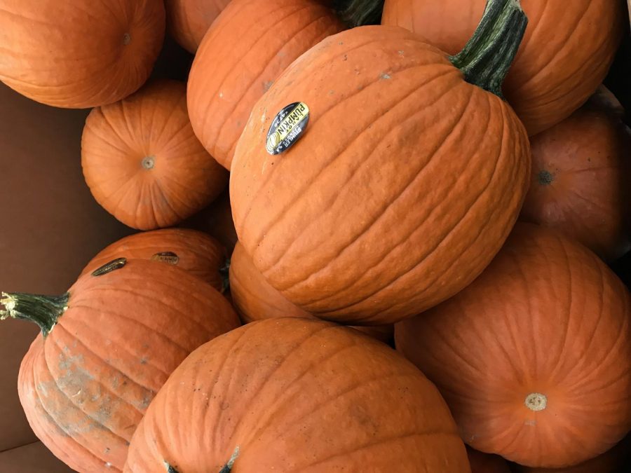 Photo of a large pile of pumpkins in a crate.