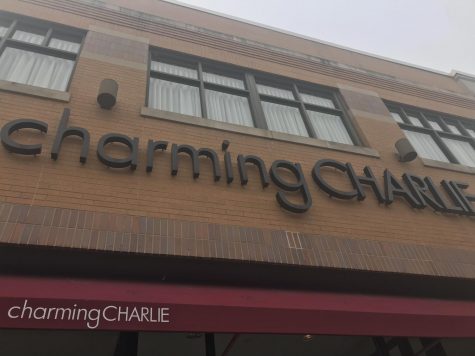 A photo looking up at the sign for Charming Charlie's.