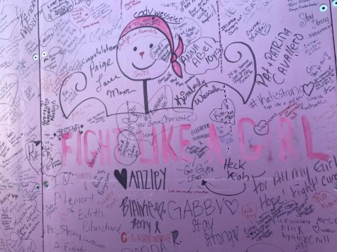 Details on the Wall of Hope, featuring the message "Fight like a girl."