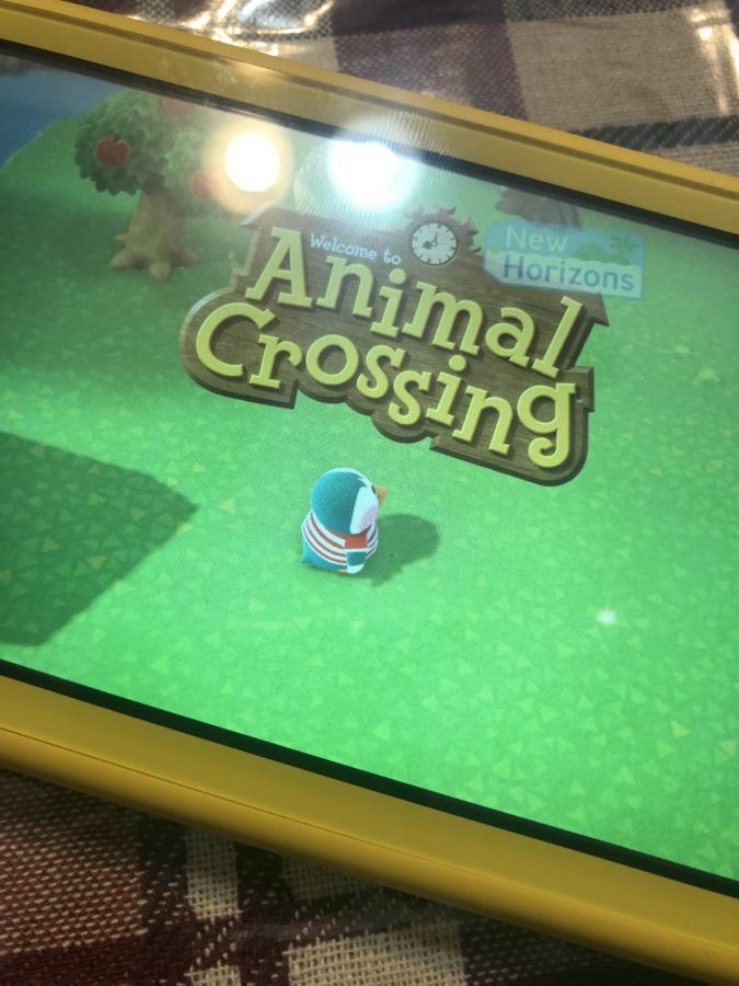 Animal Crossing opening screen