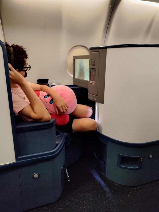 Duncan and Kirby on an airplane seat