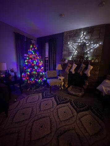 Decorating your house for the Holidays with your family is always a good way to get in the Christmas spirit.
