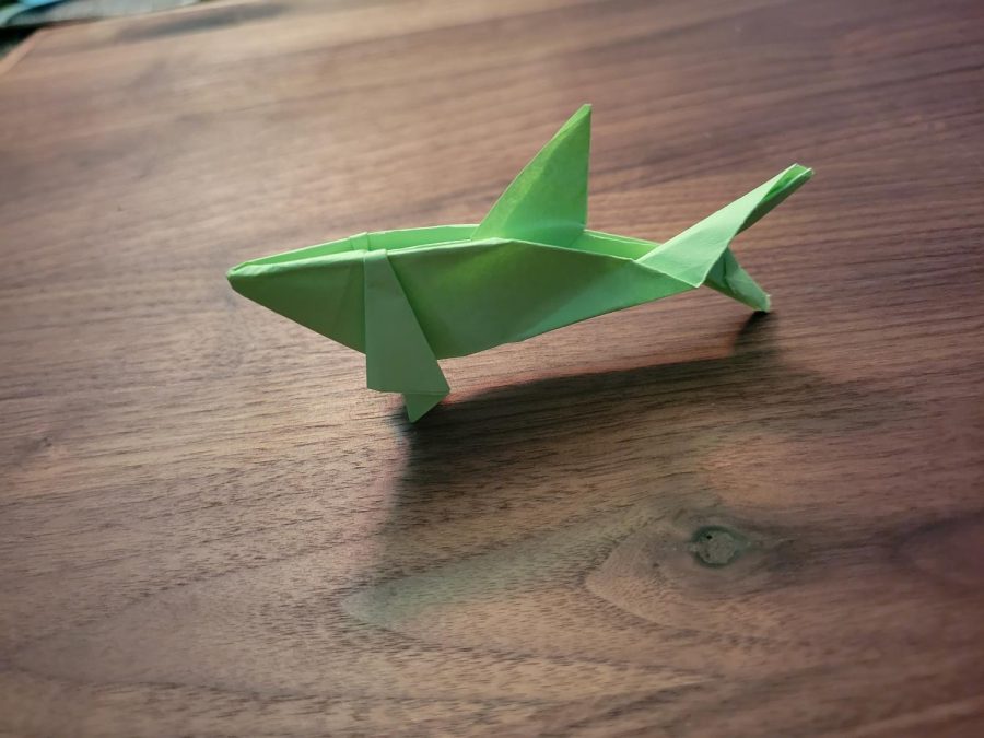 How To Make an Origami Shark