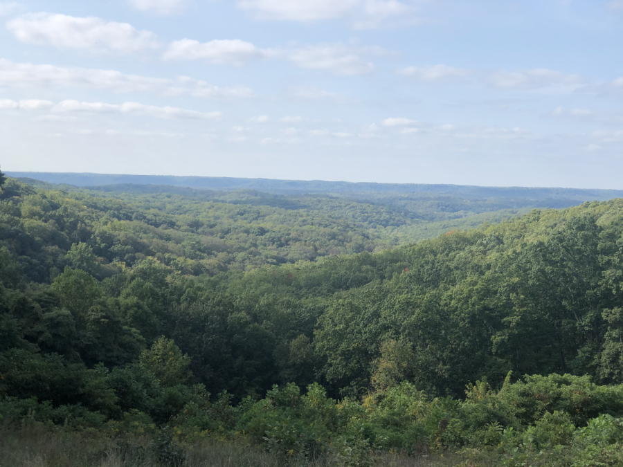Scenic vista at Brown County State Park.