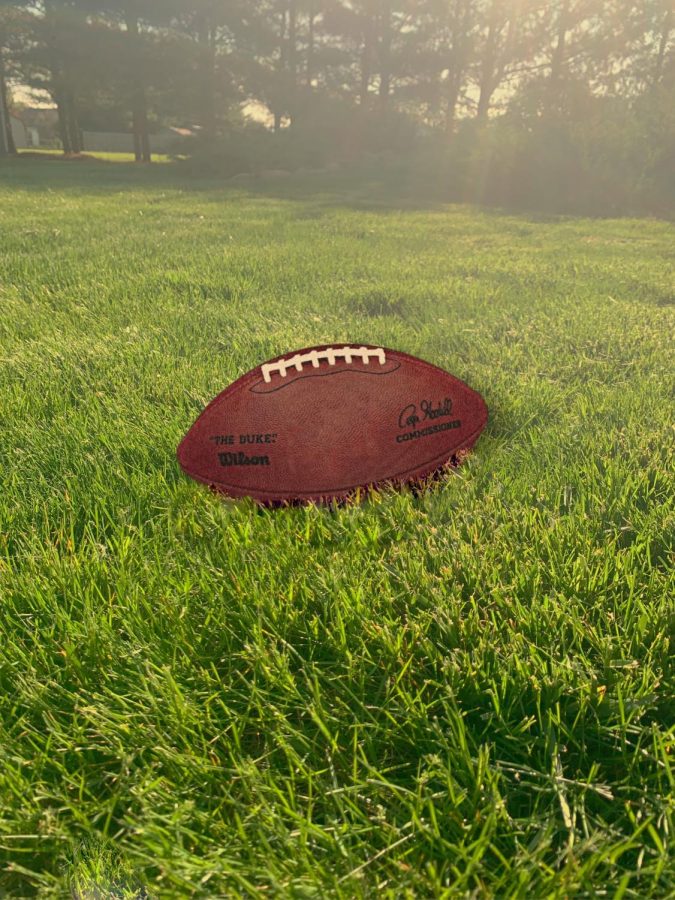 An art piece of a football laying in green grass 