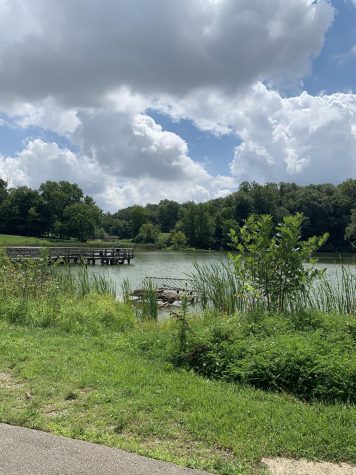 In the front of the park, there is a large lake. Many people like to go out and fish. Children can fish for free. However, if someone is 18 and older, they must have a fishing license. 
