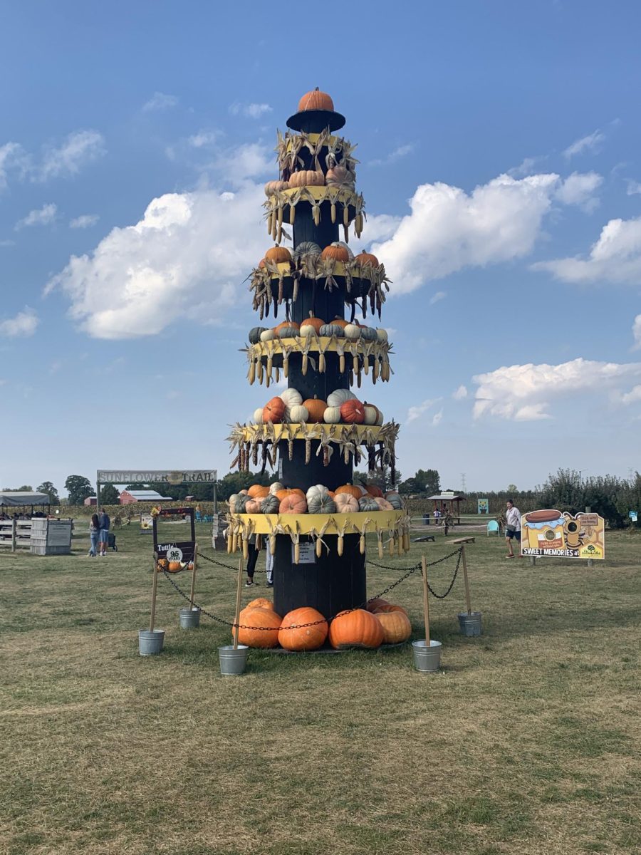 The decorative tower of pumpkins and gourds from the farm which can be seen throughout the farm. This is a popular attraction for taking pictures.
