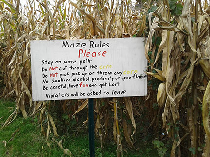 Tuttles corn maze is just one of the Halloween activities available to people in the MVHS community. 