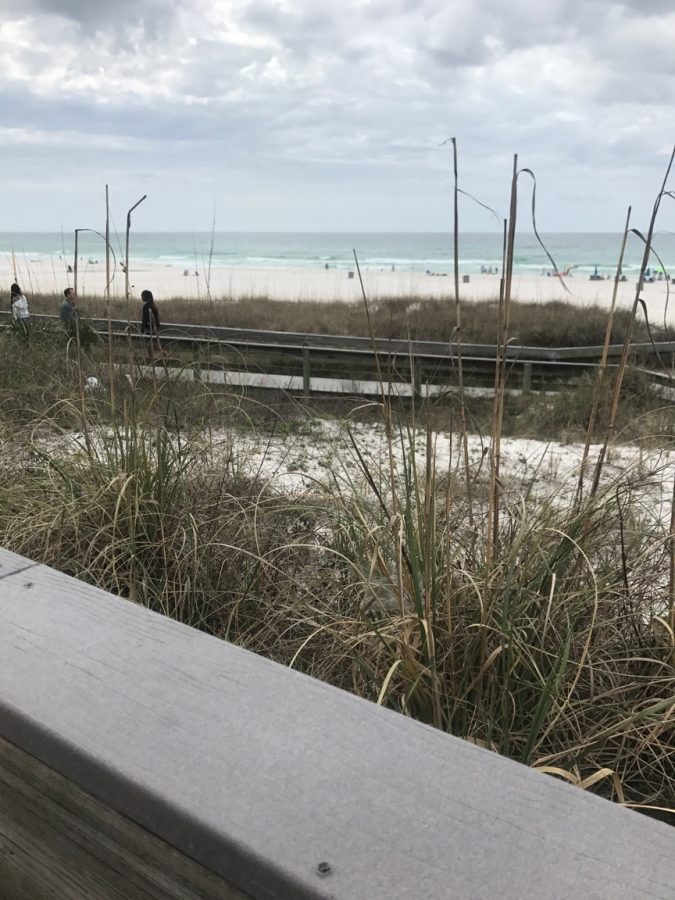 The shore on a sunny day at Panama City beach.