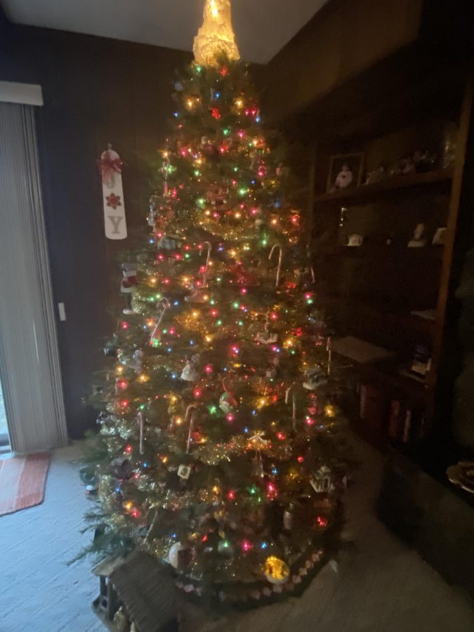 christmas tree