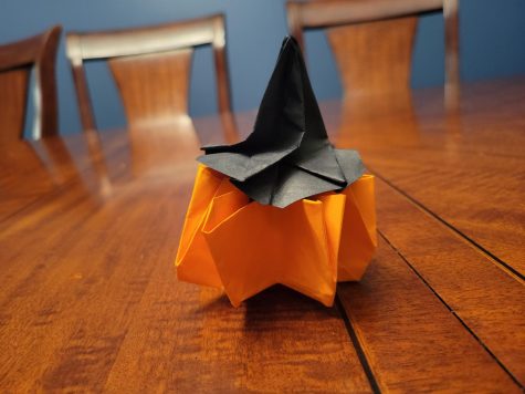 Origami Craft