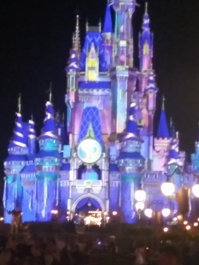 Disney Castle