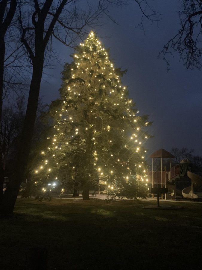 There are many displays of Christmas lights around Indiana. Towns might decorate things like trees or bushes around the area. 
