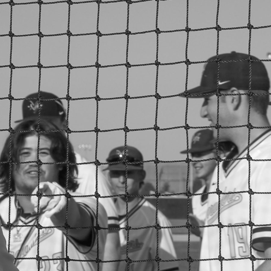 A picture of members of the varsity baseball team after a homerun.