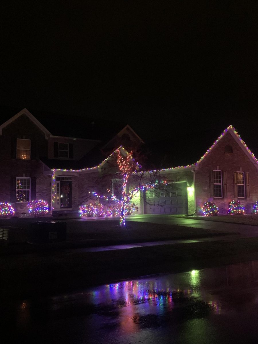 It may even inspire someone to make their own light shows and displays. Christmas lights are a great way to show the holiday spirit and make houses look good for the holidays. 
