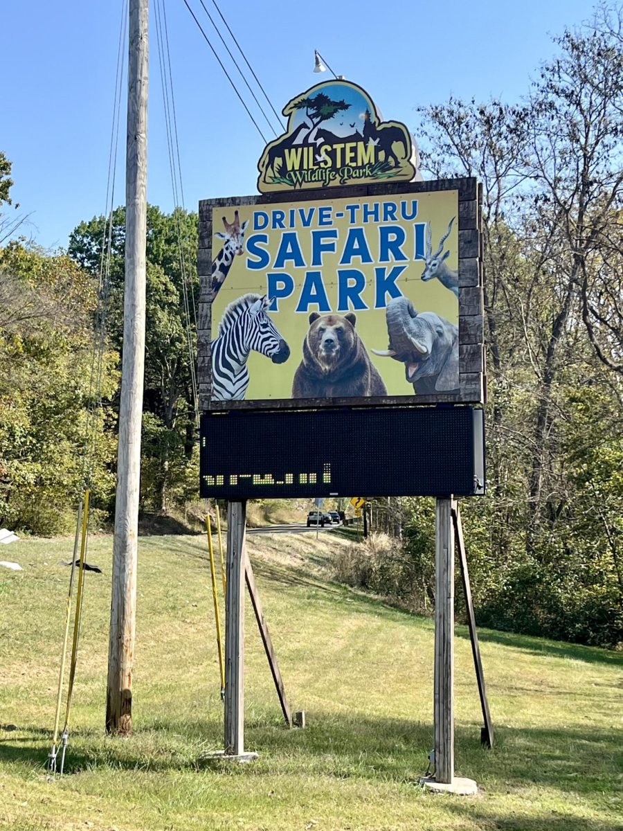 The Wilstem Wildlife Park is a safari and zoo in Paoli, Indiana. The animals live on a large plot of land that visitors can drive around. One section of the park is a drive-through safari while the other is a building with animals that visitors can interact with, such as elephants. 
