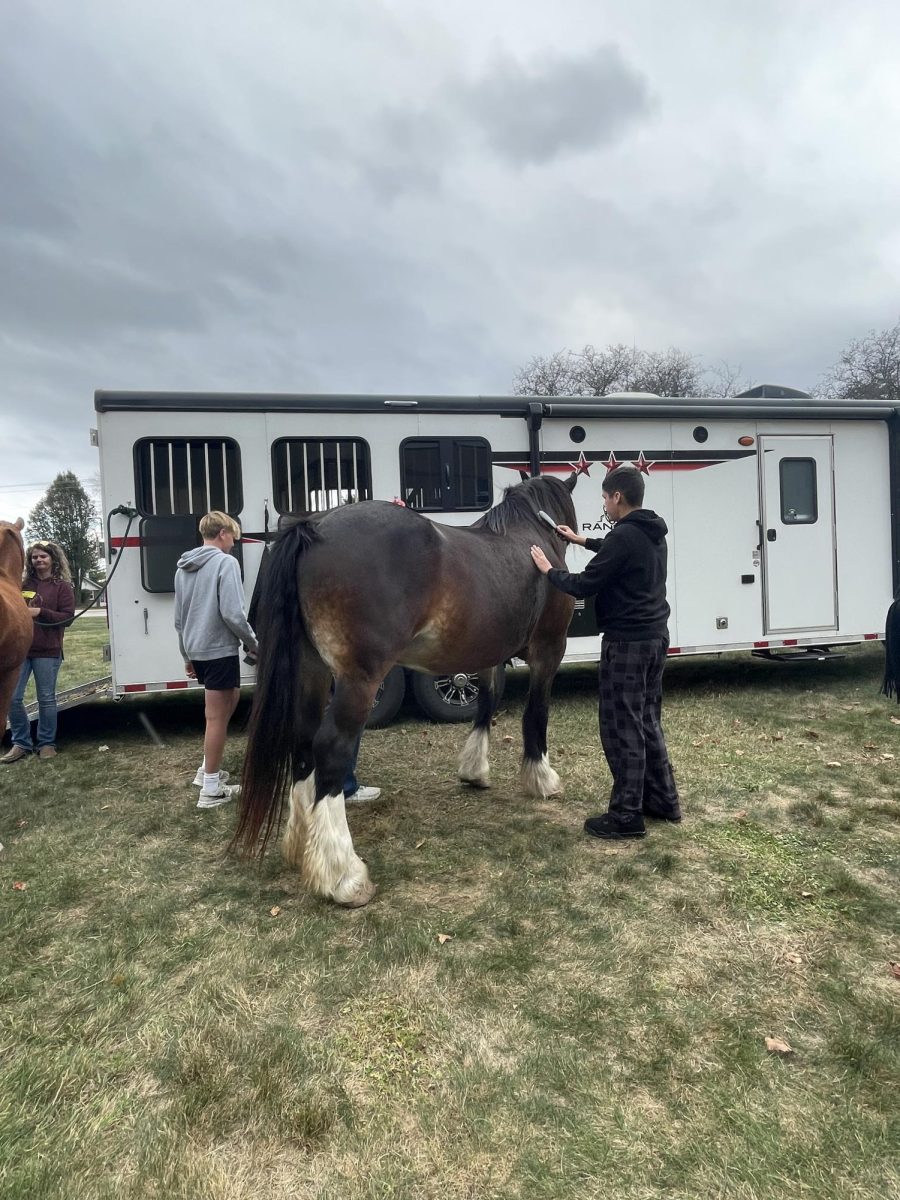 Members of Mrs. Higlert’s class getting comfortable with the horses. 