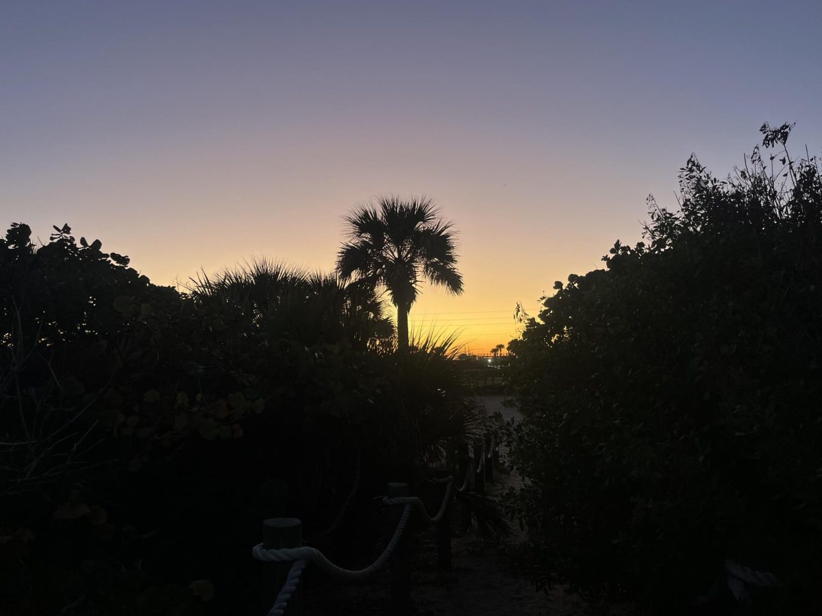 The blend of pink, yellow and blue creates purples and rich oranges with the darkness of the palm tree in the beach background. I was on the way to dinner when I saw the sky and took this photo.